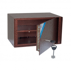 Шкаф пистолетный ШП-2