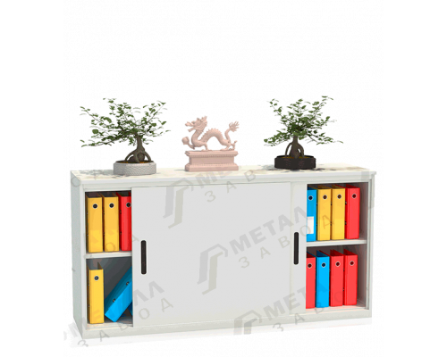 Шкаф-купе архивный ALS-8818